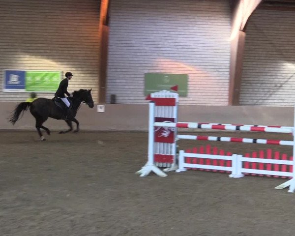 Reitturnier Kamen 2023