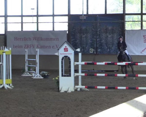 Reitturnier Kamen 2023