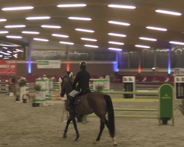 Reitturnier Kaldenkirchen - Gestüt Seehof 2023