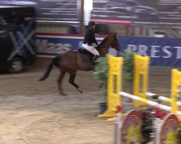11. Nordic Jumping event Negernbötel 2023