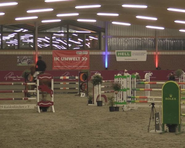 Reitturnier Kaldenkirchen - Gestüt Seehof 2023
