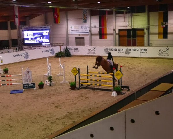Reitturnier Prussendorf 2023