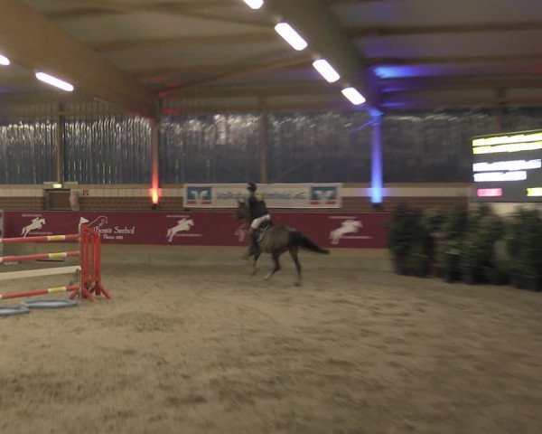Reitturnier Kaldenkirchen - Gestüt Seehof 2023