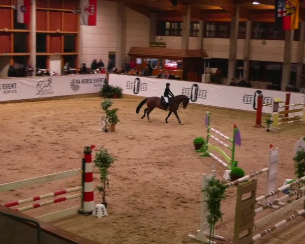 Reitturnier Prussendorf 2023