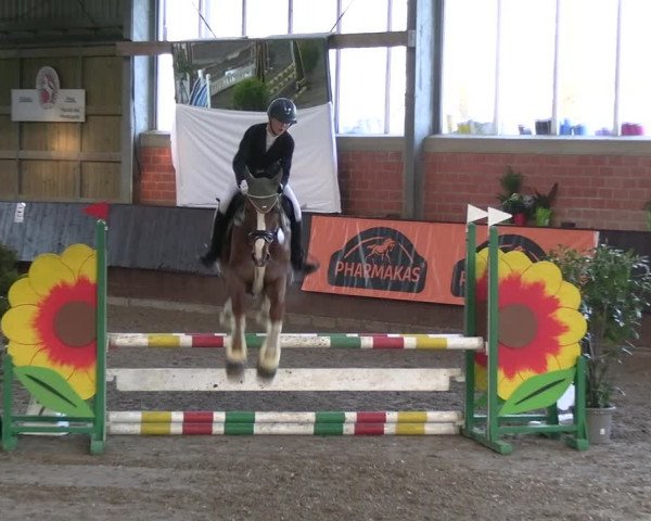 Reitturnier Greven 2023