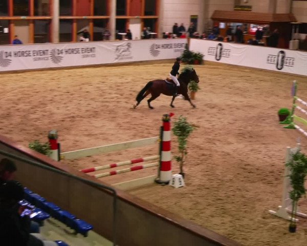 Reitturnier Prussendorf 2023