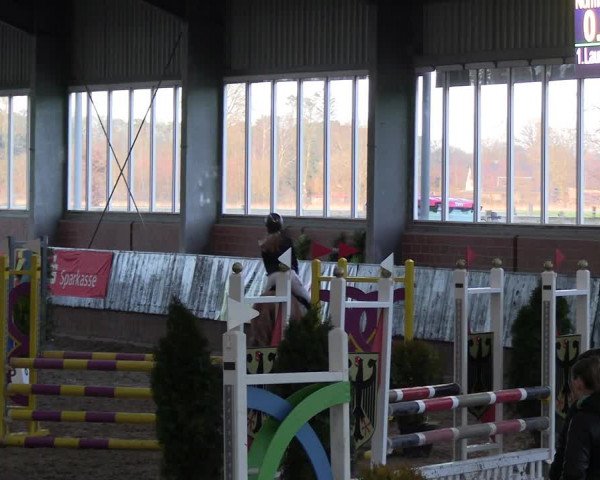 Reitturnier Greven 2023