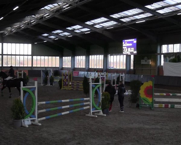 Reitturnier Greven 2023
