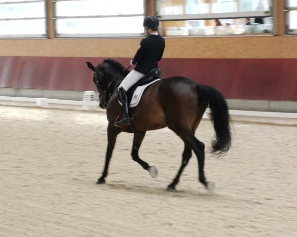 Reitturnier Balingen 2023