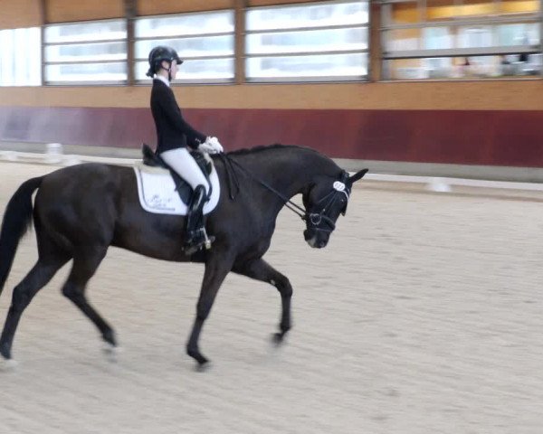 Reitturnier Balingen 2023