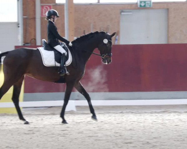 Reitturnier Balingen 2023