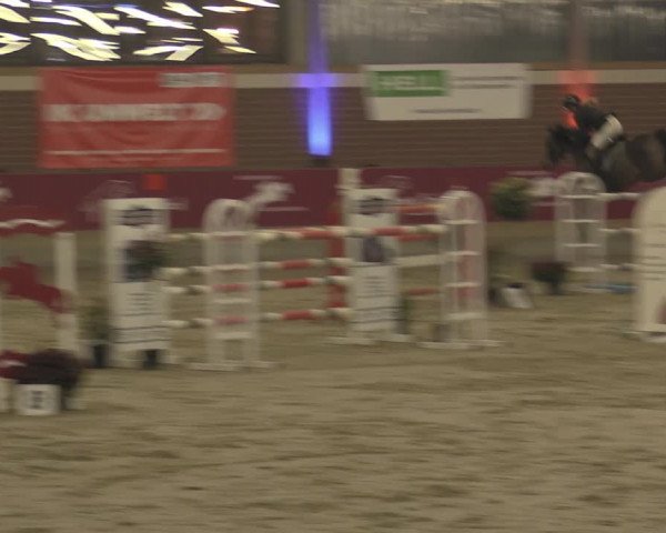 Reitturnier Kaldenkirchen - Gestüt Seehof 2023