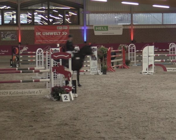 Reitturnier Kaldenkirchen - Gestüt Seehof 2023