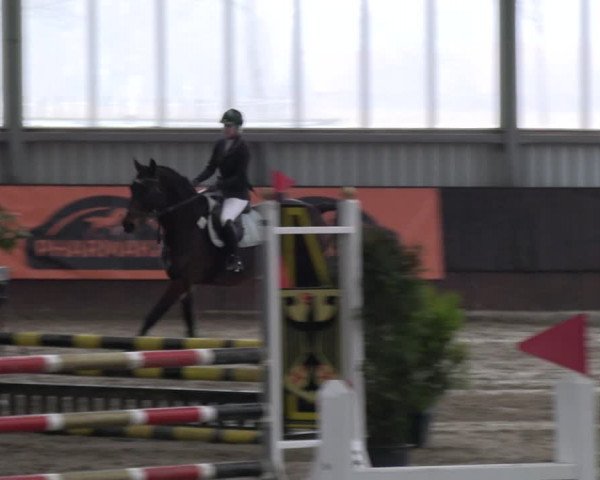 Reitturnier Greven 2023
