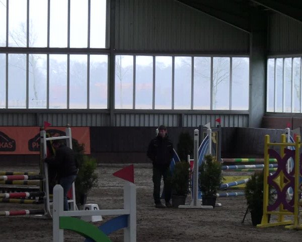 Reitturnier Greven 2023