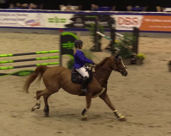 FEI Reitturnier Neumünster (GER) 2021