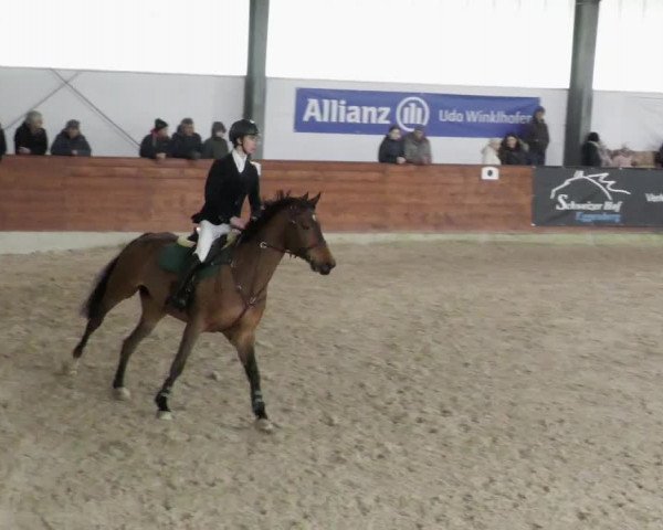 Reitturnier Karlsfeld/Obb. 2023