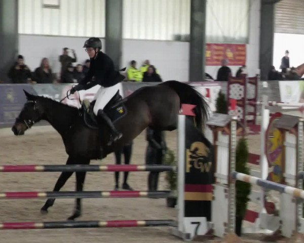 Reitturnier Karlsfeld/Obb. 2023