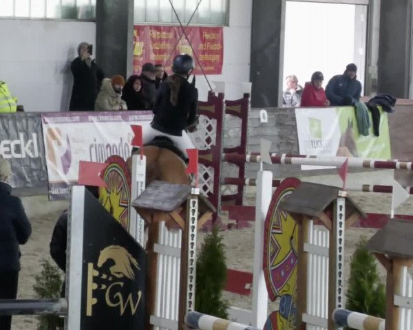 Reitturnier Karlsfeld/Obb. 2023