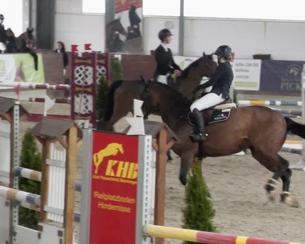 Reitturnier Karlsfeld/Obb. 2023