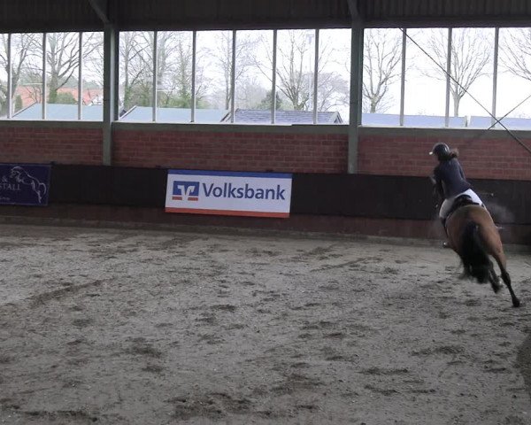 Reitturnier Greven 2023