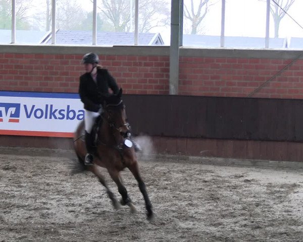 Reitturnier Greven 2023