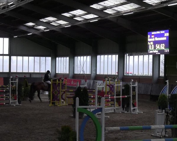 Reitturnier Greven 2023
