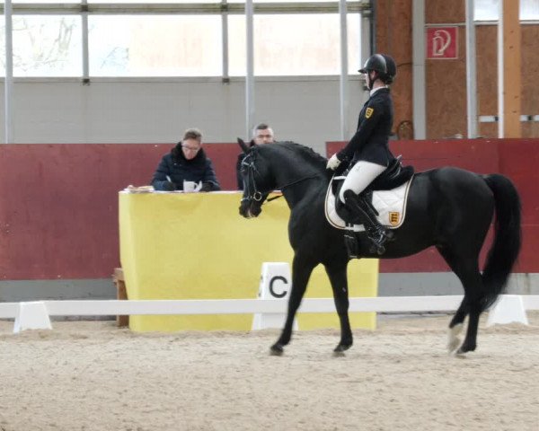 Equestrian Show Balingen 2023