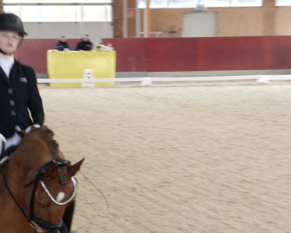 Reitturnier Balingen 2023
