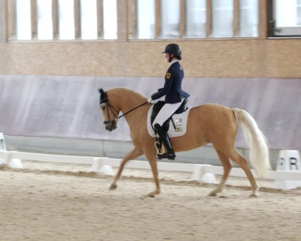 Reitturnier Balingen 2023