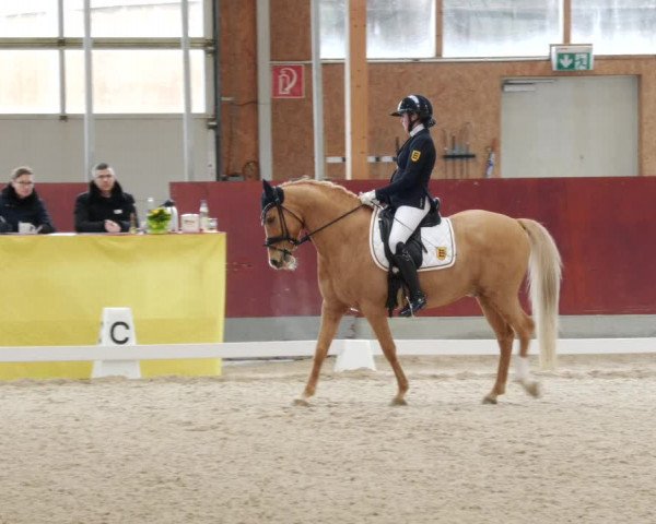 Reitturnier Balingen 2023