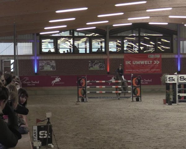 Reitturnier Kaldenkirchen - Gestüt Seehof 2023