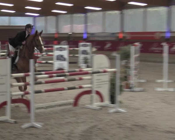 Reitturnier Kaldenkirchen - Gestüt Seehof 2023