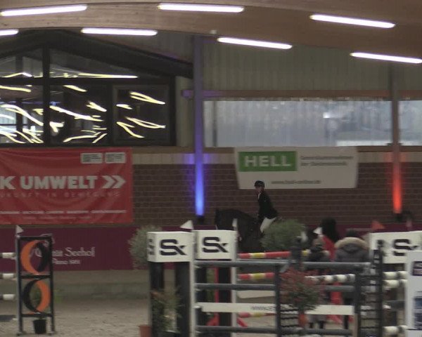 Reitturnier Kaldenkirchen - Gestüt Seehof 2023