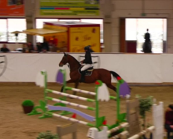 Reitturnier Prussendorf 2023