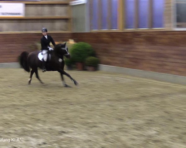 Reitturnier Coesfeld/Lette 2021