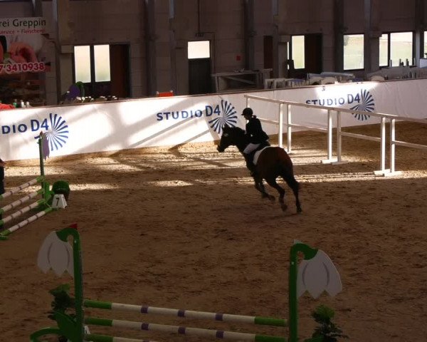 Reitturnier Prussendorf 2023