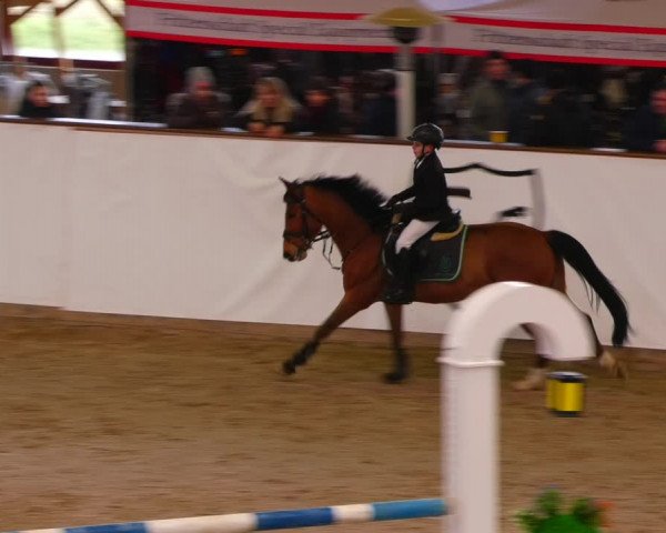 Reitturnier Prussendorf 2023