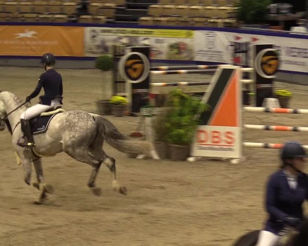 FEI Reitturnier Neumünster (GER) 2021