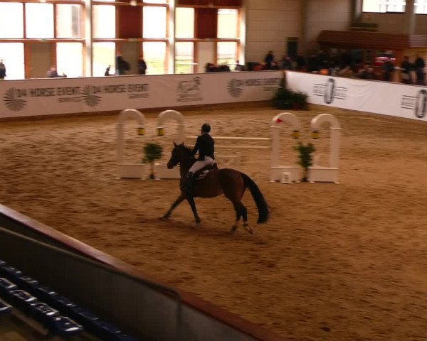 Reitturnier Prussendorf 2023