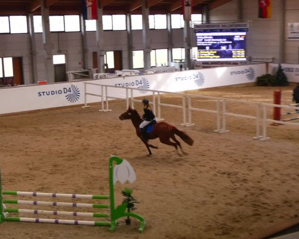 Reitturnier Prussendorf 2023