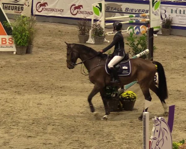 FEI Reitturnier Neumünster (GER) 2021