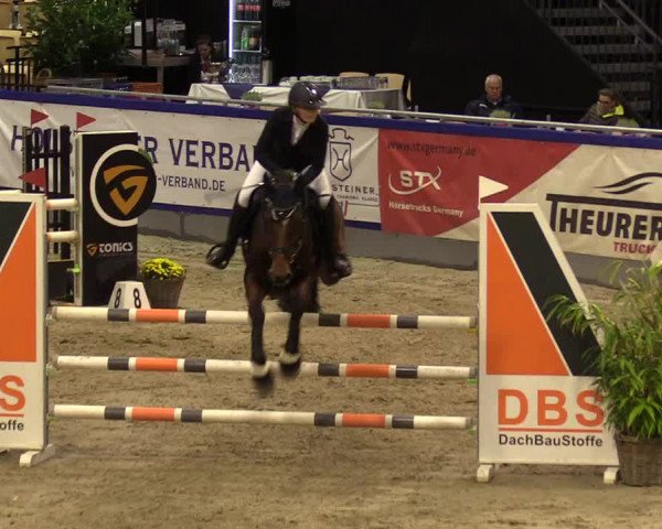 FEI Reitturnier Neumünster (GER) 2021