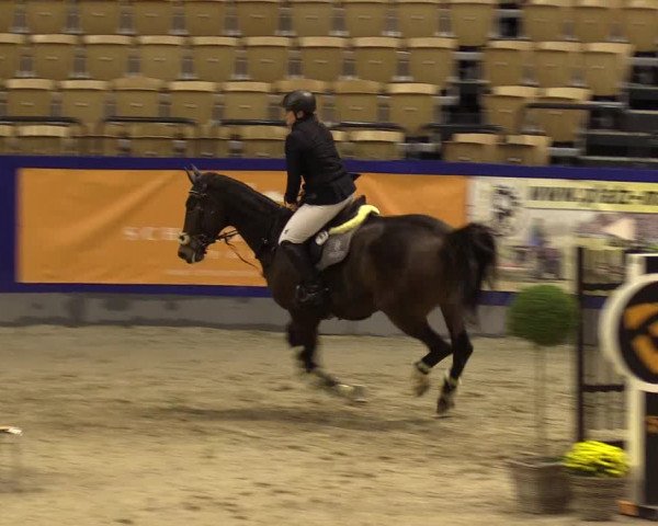 FEI Reitturnier Neumünster (GER) 2021