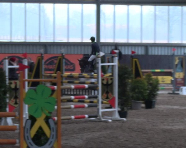 Reitturnier Greven 2023