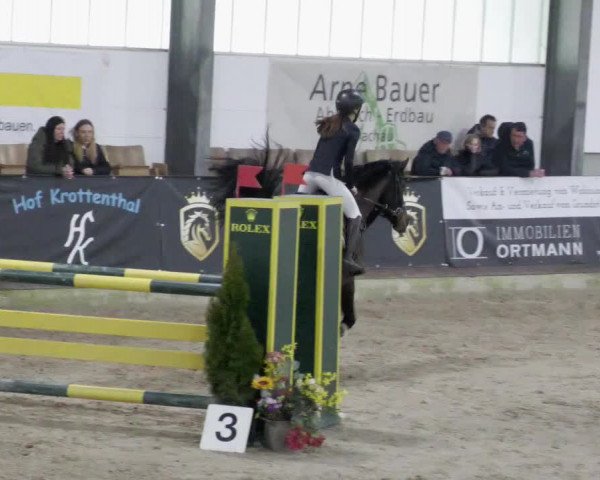 Reitturnier Karlsfeld/Obb. 2023