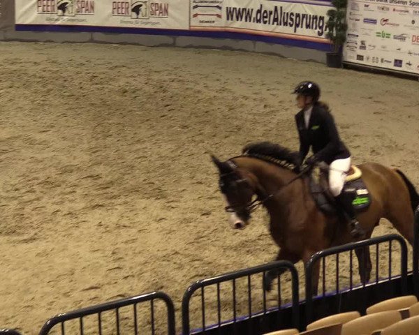 FEI Reitturnier Neumünster (GER) 2021