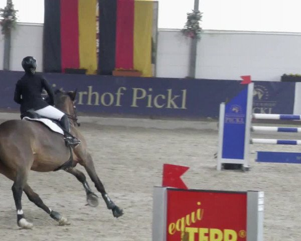 Reitturnier Karlsfeld/Obb. 2023