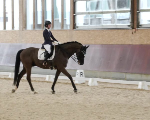 Reitturnier Balingen 2023