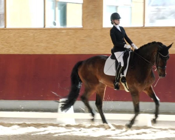 Reitturnier Balingen 2023